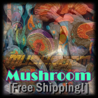 Mush Room
